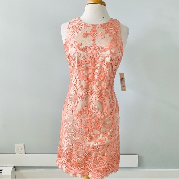 NWT Nordstrom Eliza J Pink Floral Shift Dress Sz 8